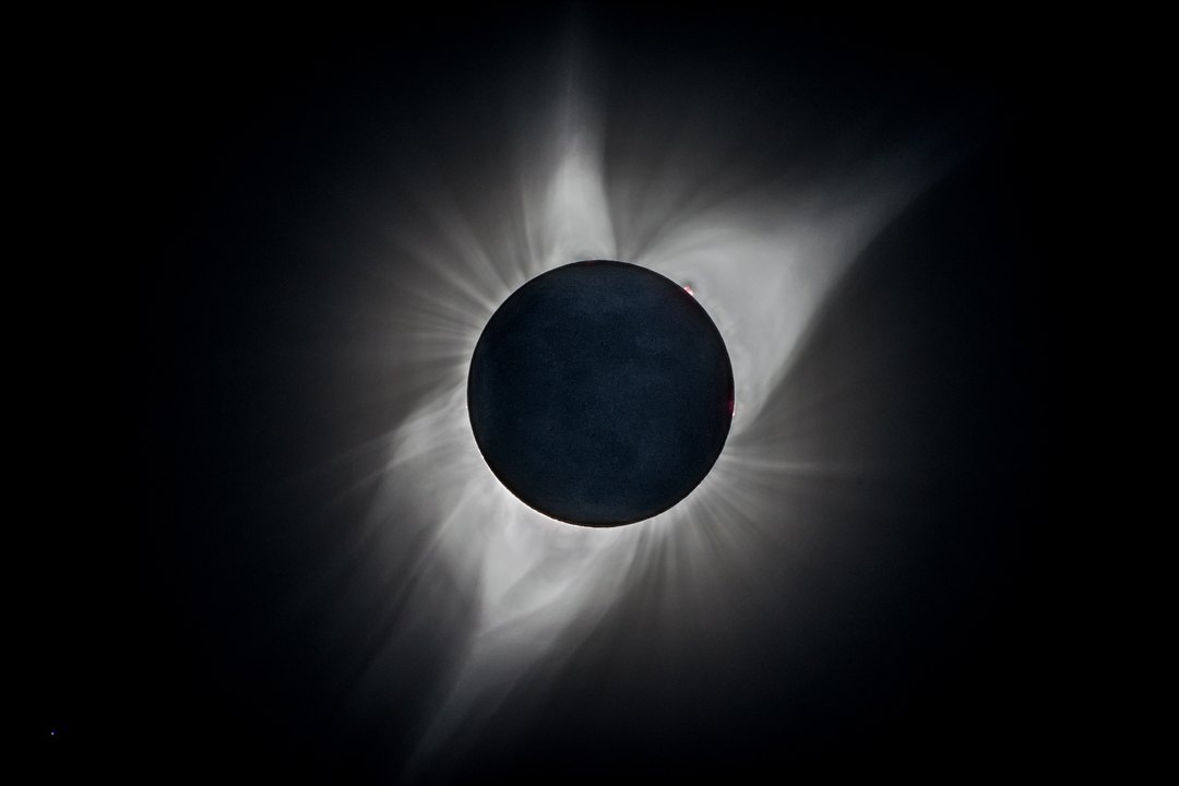 Photographie d'une éclipse totale : le disque lunaire noir est entouré d'une couronne blanche aux longs filaments incurvés, qui s'étendent sur plusieurs rayons solaires. Un fin liseré rose est visible par endroits sur le bord du disque.
